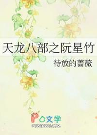 天龙八部阮星竹遗传片段